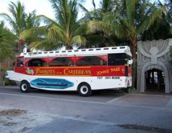 Parrots of the Caribbean Parrots of the Caribbean