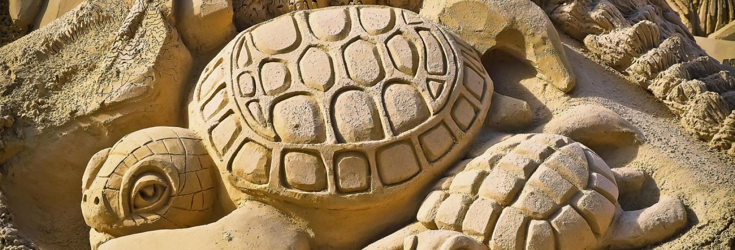 two sand-sculpted turtles at annual sanding ovation's cup