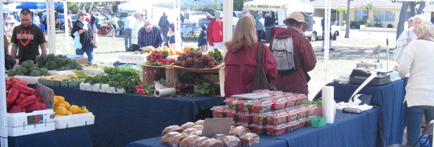 Treasure Island Friday Morning Market 