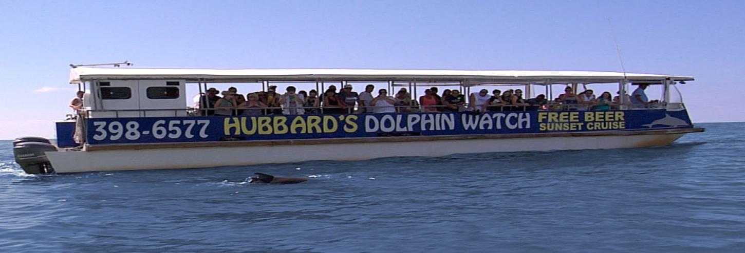 Hubbard's Dolphin Watch