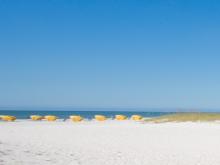yellow umbrellas on a beach