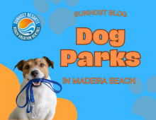 Dog Parks Dog Parks in Madeira Beach