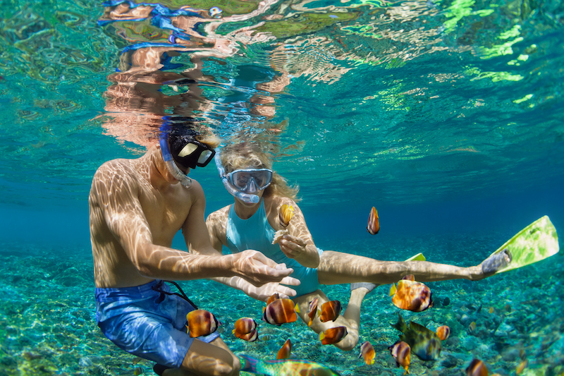 man and woman snorkeling with fish
