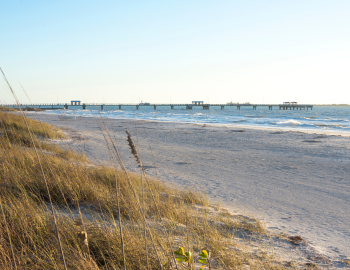 Fort Desoto Beach