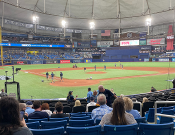 Rays Baseball Field